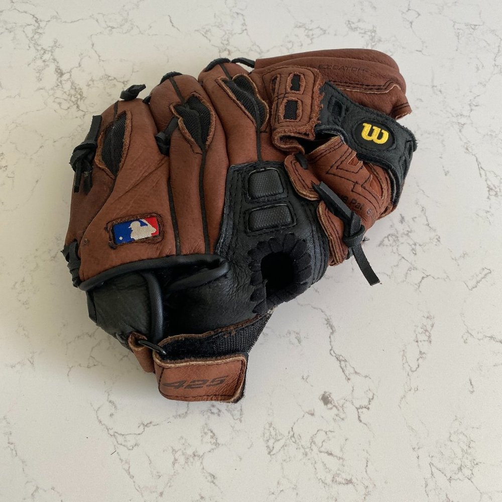 Wilson 425 Boys T Ball Fielding Leather Glove 10”